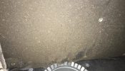 DIRTY PLENUM
Photo Description: THE ORGANIC MATER HAS BEEN REMOVED FROM DUCT AND IS ON THE PLENUM
